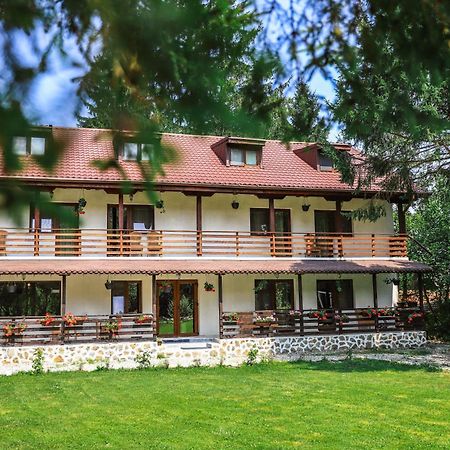 Pensiunea Vinatur Porumbacu de Sus Dış mekan fotoğraf