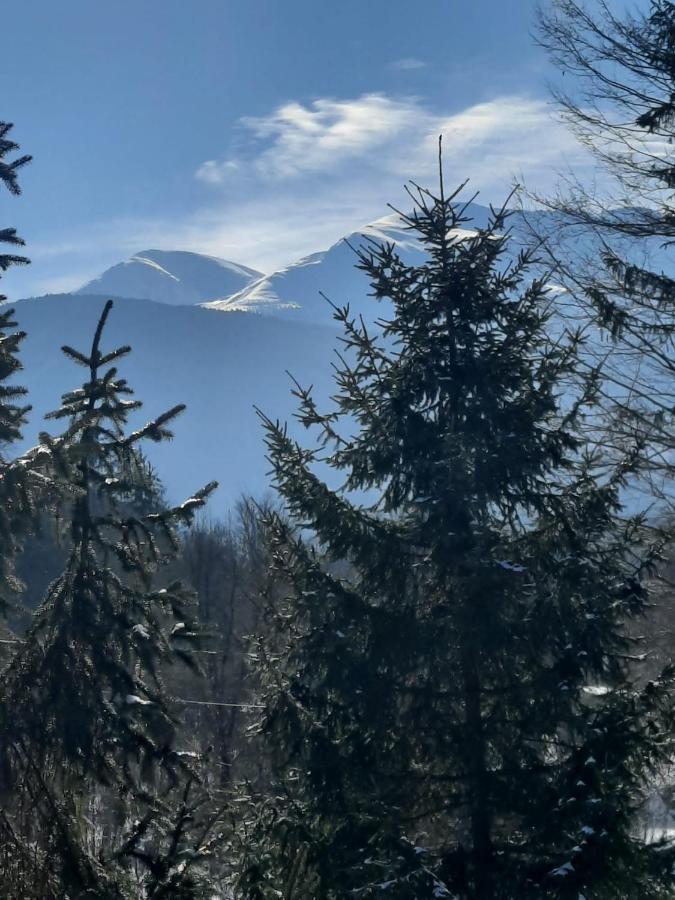 Pensiunea Vinatur Porumbacu de Sus Dış mekan fotoğraf