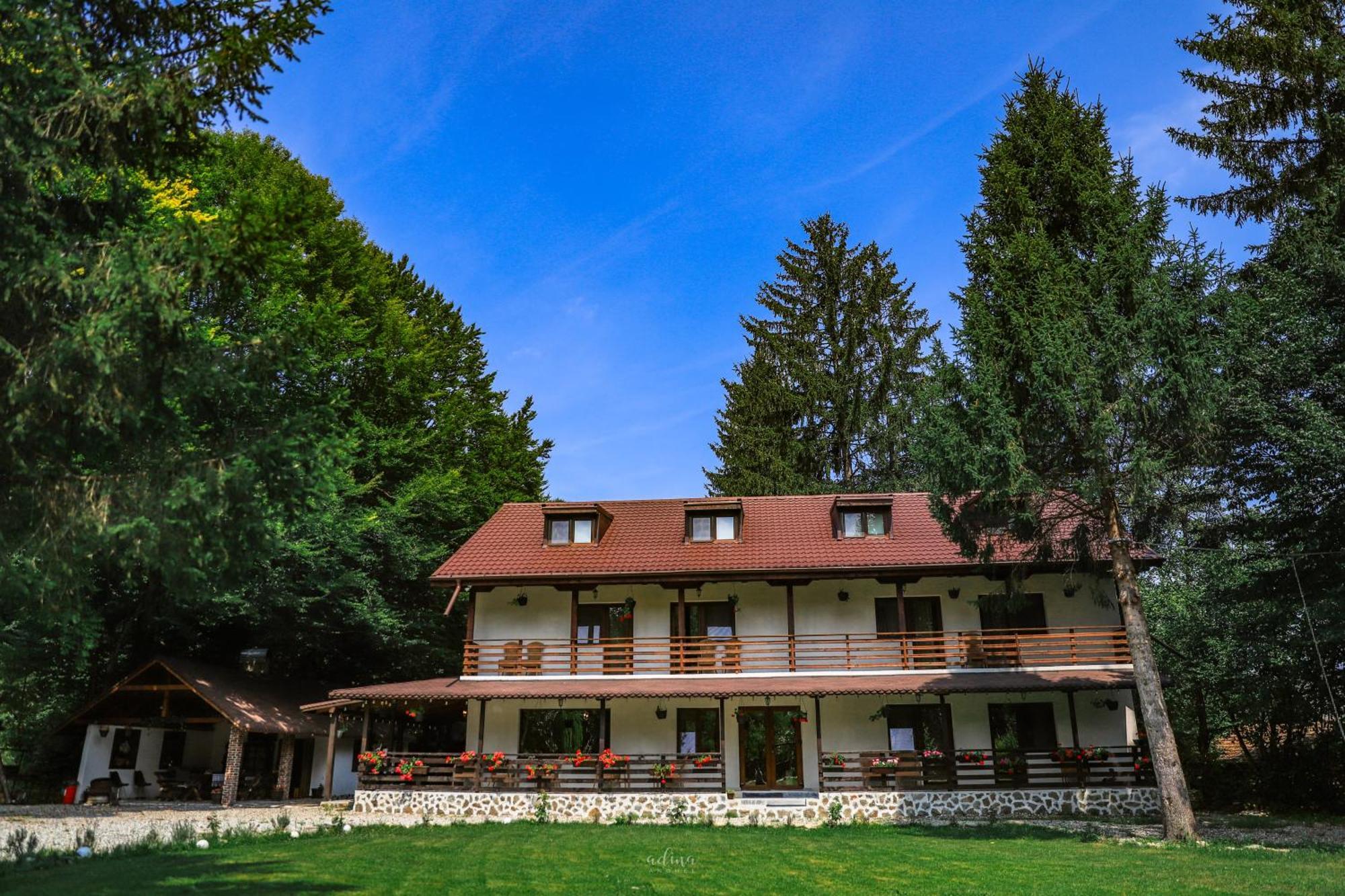 Pensiunea Vinatur Porumbacu de Sus Dış mekan fotoğraf
