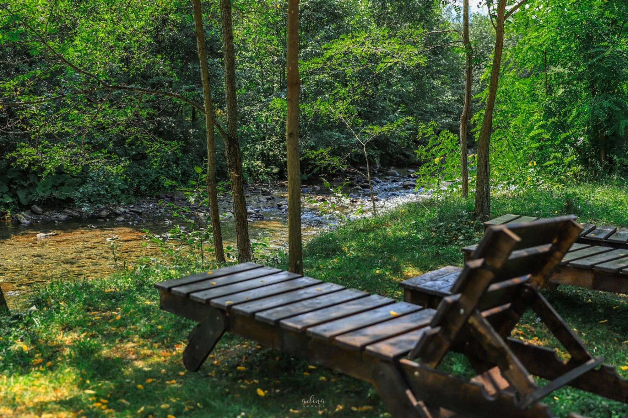 Pensiunea Vinatur Porumbacu de Sus Dış mekan fotoğraf