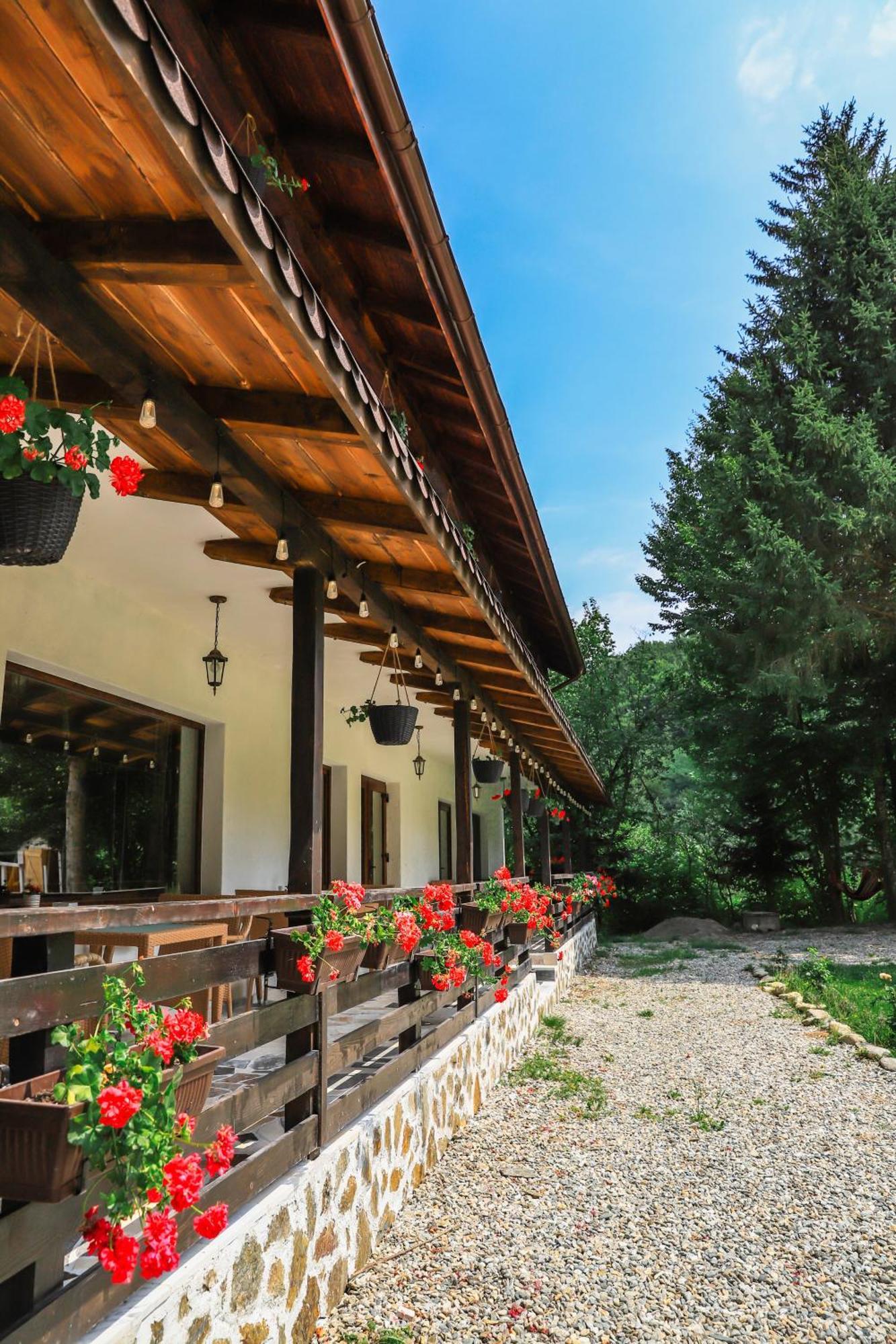 Pensiunea Vinatur Porumbacu de Sus Dış mekan fotoğraf
